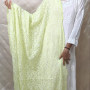 Dhani Green Georgette Tepchi Dupatta