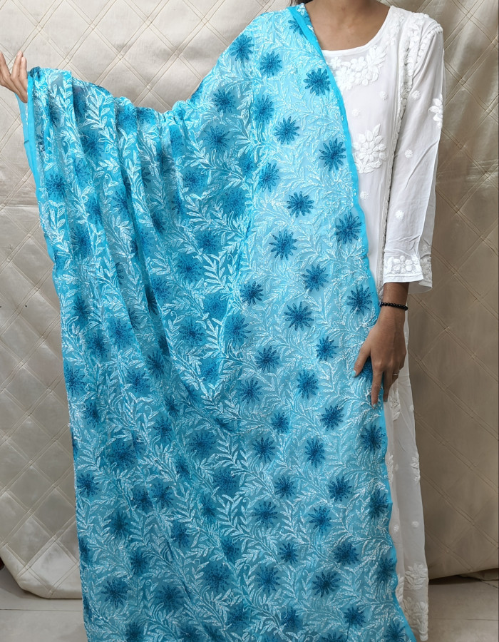 Georgette Tepchi Dupatta & Dual-Colour Threadwork