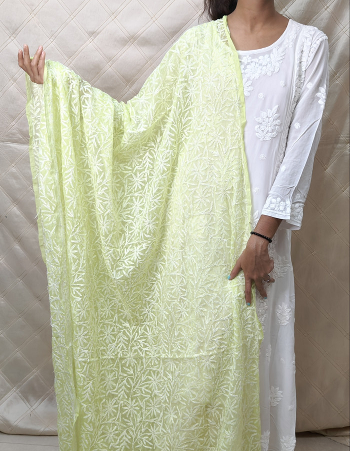 Dhani Green Georgette Tepchi Dupatta